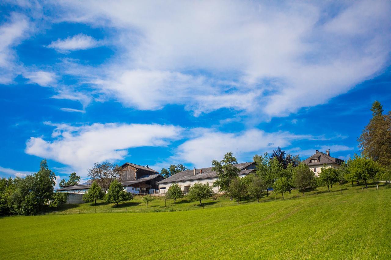 Kollehof Apartment Krumpendorf Екстериор снимка